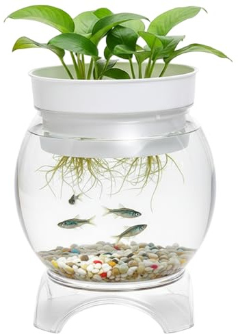 Réservoir de Poissons | Réservoir de Poissons aquaponique, Bol à en Plastique Transparent avec Support et jardinière, sain 5 gallons pour Plantes d'aquarium