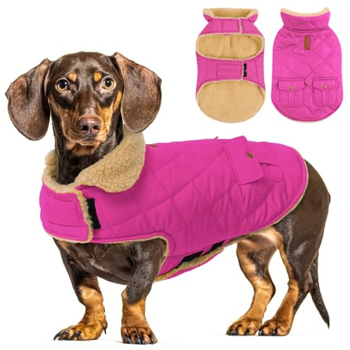CITÉTOILE Warme Hundemantel Fleece Wintermantel für Hunde Rosa L | Hundebekleidung Hundejacke mit Geschirr Loch für Chihuahua Dackel, Outdoor Welpen Mantel für kleine mittel große Hunde