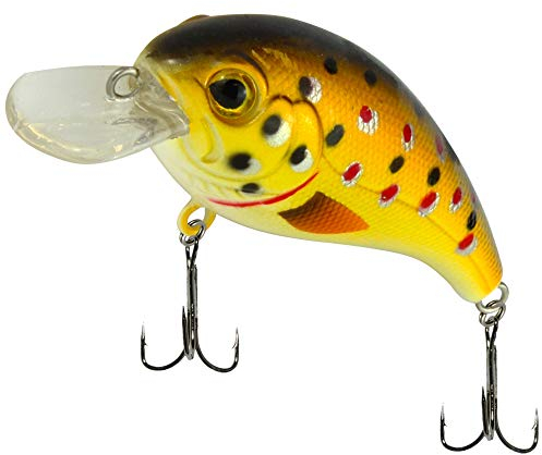 SEIKA Pro Unisex – Erwachsene 10C8900115C10 SEIKA Pr-Osaka-Wobbler Farbe: Trout 4,5cm Programm von FTM, Bunt, Normal