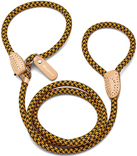 Hundefreund Guinzaglio Scorrevole e Lasso per Cane - Anti-Trazione per Addestramento/Educazione