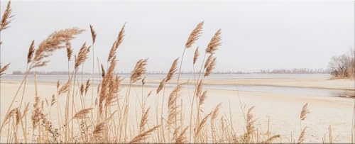 artissimo Glasbild 125x50 cm Bild Strand Dünen AG5392A – modernes Panorama Bild aus Glas, großes XXL Wandbild Querformat, Wanddeko Wohnzimmer beige natur maritim