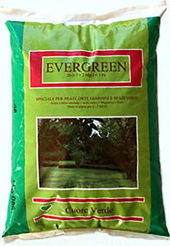 Vialca Evergreen 5KG CONCIME NPK con MAGNESIO E Ferro - Prati SPAZI Verdi E Giardini
