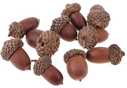 POFET 10 adornos de mesa pequeños de bellotas naturales en flores secas a granel para decoración de Navidad o manualidades de diseño floral
