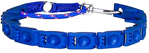 OMEM Träning hundhalsband, plastmaterial, 17–60 cm lämplig för alla stora hundar/blå