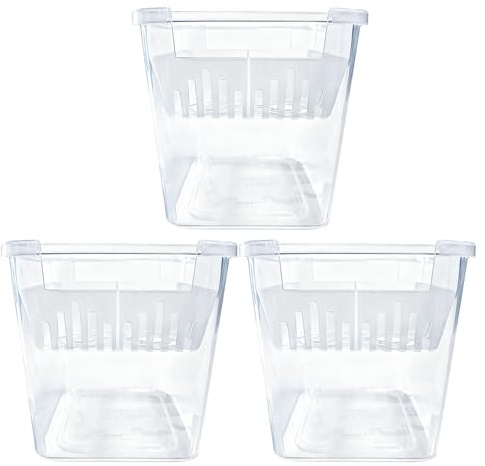 Maceta para Cultivo en Agua 3 Piezas De Recipiente Transparente