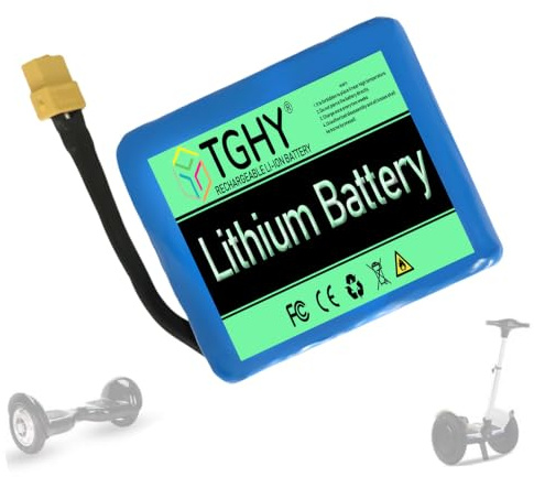 TGHY Batería de Litio para Patinete eléctrico 24V 2Ah 4Ah 4.4Ah Batería balanceada para vehículos 29.4V Baterías de Repuesto Placa BMS integrada,24v 2ah