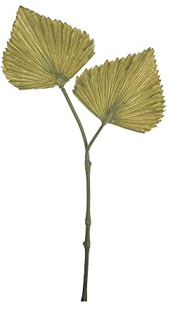 FloristryWarehouse Confezione da 6 palme artificiali a ventaglio alto 39 cm, colore: verde