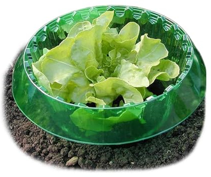 Schneckenkragen, 24 Stück Schneckenschutzringe, Effektiver Schneckenschutz für Salat und Kohl, Schneckenkragen aus Robustem Kunststoff, Wiederwendbare Schneckenabwehr für Gartenpflanzen
