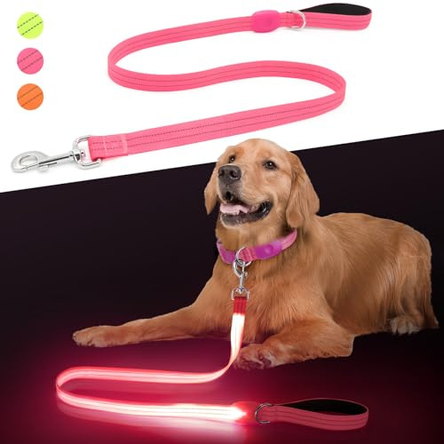 ChalkLit LED Hundeleine, Beleuchtete Hundeleine über USB Wiederaufladbar, 1,2 m, Weich Wasserdicht Reflektierend, für nächtliche Spaziergänge für große, mittelgroße Haustiere blinkende