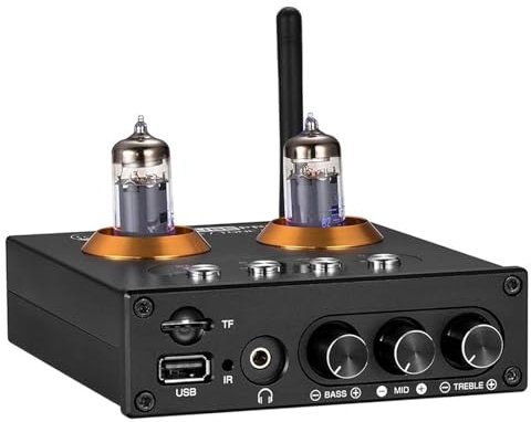 Amplificatore Valvolare, Amplificatore Valvolare Stereo, Mini Amplificatore Di Potenza Digitale Hi-Fi Bluetooth 5.0 a 2 Canali Classe D, Con Telecomando, Controllo Bassi Acuti, Per Cuffie Home Audio