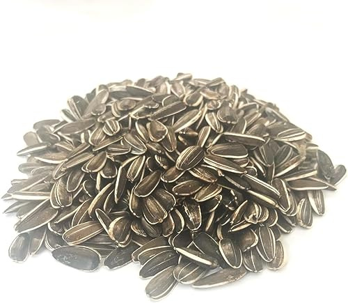 1.5kg Small Sunflower Seed Cage & Aviary Bird Food LGDS