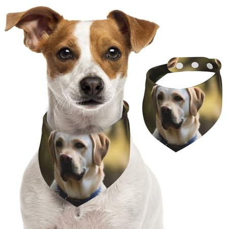 Hunde-Halstuch, Labrador, verstellbar, waschbar, doppelseitig, Haustier-Halstuch, Baumwolle, Dreieck-Lätzchen, Hunde-Schals, Katzen, Schals für Welpen, Kostüm, Zubehör, Größe M