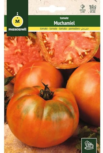 Mascarell Semillas, TOMATE, Semillas Huerto, TOMATE MUCHAMIEL, Crea tu Propio Huerto Urbano y Cultivo en Casa, Plantas Hortícolas, 1 Gramos