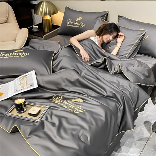 SHAIRMB Couette en Soie Queen Size pour L'éTé, Frais Et Confortable Soie GlacéE Lavable Climatisation Simple Couette Confortable, Couverture pour Les Dormeurs Chauds,A,230 * 250cm Sheet