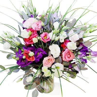 Bunter Blumenstrauß mit 7x verzweigter Lisianthus und Eukalyptus # Strauß inklusive Grußkarte # Blumen zum Geburtstag versenden