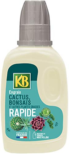 KB Quick Fertilizer Cactus, Bonsai, Succulents and Other Fatty Plants 250 ml Neutral One Size