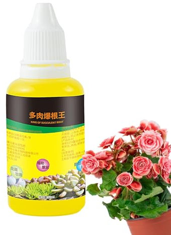 Anulely Alimento vegetal para suculentas de interior, fertilizante para suculentas - Fertilizante líquido para plantas de interior de 50 ml,Fertilizante natural para cactus, suculentas, palmeras y
