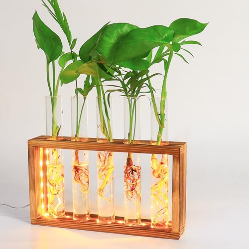Blumenvasen Wand hängende Pflanze Vase mit hölzernen Stand Wandbehang Glas Pflanzgefäße Glas Pflanzer Reagenzgläser Vase für Stecklinge Knospen hydroponische Pflanzen Home Office Decor (Kohlschwarz)