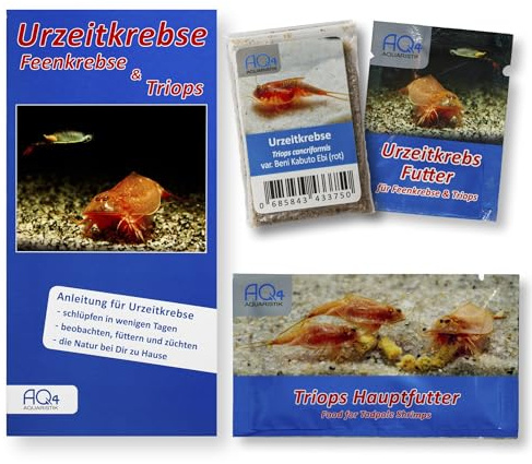 Triops cancriformis var. Beni Kabuto Ebi (rot) Starterset, Urzeitkrebs-Eier | Ca. 100 Urzeitkrebs-Eier, Aufzuchtfutter, Hauptfutter und Anleitung; Nachfüllset für Zucht und Aufzucht, Triops züchten