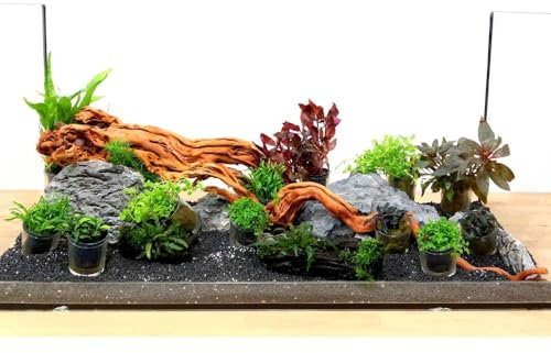 AquaOne Aquarium Deko Komplettset Steine Wurzel Pflanzen Aquascaping Hardscape Set Nr.15 Dekoration