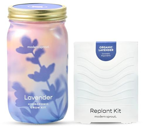 Modern Sprout Mason Garden Pot + kit de replantation – Système de culture hydroponique à auto-arrosage avec graines d'herbes biologiques – Pot de fleurs pour jardin d'herbes aromatiques d'intérieur