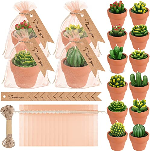 Qunclay 12 Pieces Succulent Cactus Candle Mini Cactus Tealight Candles Plant Candles with Terracotta Pot Organza Bag Tags Twine for Christmas Gift Cielito Lindo Birthday Wedding Baby Shower Party