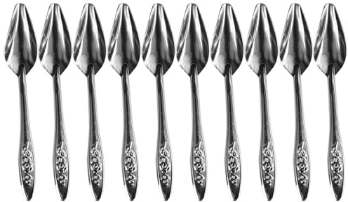 Cuchants d'oiseaux - 10pcs Ensemble de cuillère de perroquet en acier | inoxydable, outils des poussins élevés, mangeoires à lait animal | Spoon de soins aux