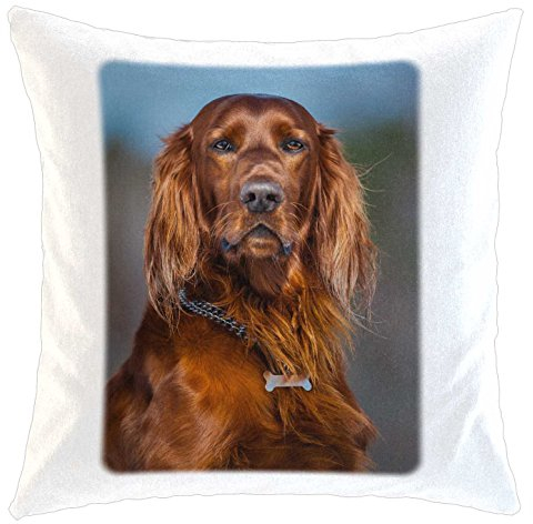 Kissen/weiches Kuschelkissen mit Füllung 40x40cm - Motiv: Irish Setter Porträt | 002