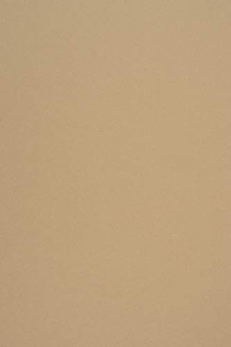 Netuno 20 fogli cartoncino riciclato marrone formato A4 21 x 29,7 cm 285g Woodstock Noce carta colorata ecologica per stampa bricolage lavoretti biglietti partecipazioni inviti bomboniere