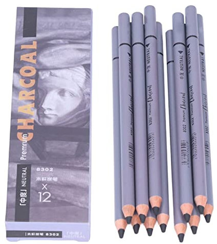 12Pcs Kohlestifte Kohlezeichnungsstifte Sketch Kohlestifte für Anfänger, Profis und Künstler