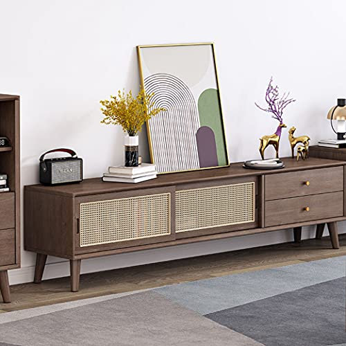 CAPXXIN Wood TV Cabinet TV Stands TV Console Media Simple Cable Box Gaming Consoles Modern Minimalist Entertainment Center TV Unit Cabinet for Living Room Bedroom Office needed