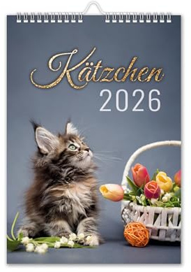 Calendrier 2026 - Calendrier mural - Format A4 - Avec vacances scolaires - Motif chat - Chatons - Animaux V12