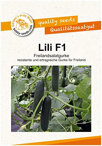 Lili F1 Freiland Gurken Samen von Bobby Seeds Portion
