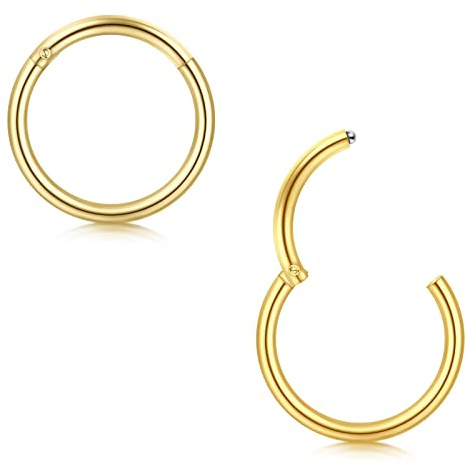 Briana Williams 2stk Segmentring Nasenring Clicker Gold 18G 8mm Piercing Nase Septum Ohr Helix Tragus Daith Ring Chirurgenstahl