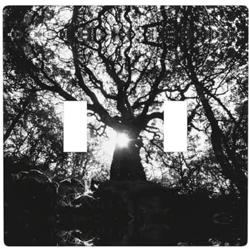 Phayah Placche di copertura per interruttore a doppia luce con motivo screziato, piastra decorativa da parete, doppia levetta