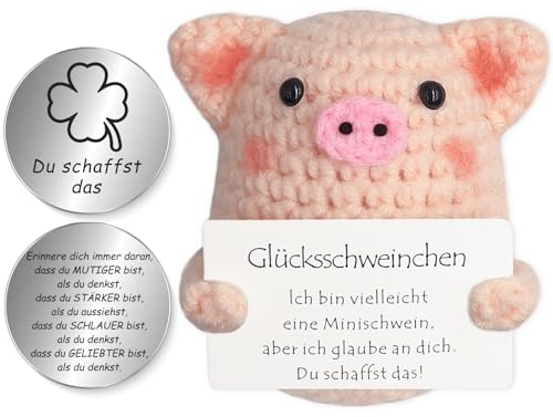 Tixlux Pocket Hug Glücksschweinchen, Kreative Strickwolle Minischwein Puppe und Kleine Umarmung Glücksbringer (Silber Ⅰ), MutmacherGeschenk, Gute Besserung, Einschulung Geschenk