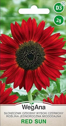 WegAna Red Sun Sonnenblumen Samen Große Rot 2g, Einjährig Pflanzen Sommerblumen, Gartenpflanzen Balkonpflanzen, Blumen Saatgut, Blumensamen, Bienenmagnet