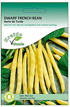 Kraido Yellow Dwarf French Bean Seeds Aurie de Turda Phaseolus Vulgaris 50 Seeds Grow Your Own Vegetables Perfect for Outdoor Growing in Raised Beds or Larger Pots and Containers