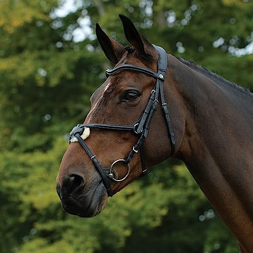 2022 Collegiate Comfitec Grackle Zaumzeug 100637700 - Schwarz