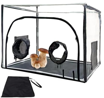 Mycology Still Air Box - Camera di allevamento di funghi, set di coltivazione di funghi, con cappa aspirante ben visibile per substrato spore fungine