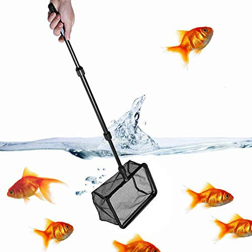 Rete di cattura per l'atterraggio dei gamberetti da pesca con manico retrattile per acquario di 3 dimensioni per oggetti galleggianti Strumenti puliti