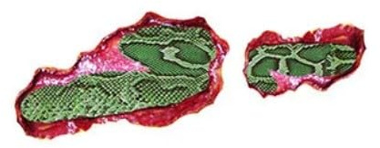 Par de tatuajes realistas 3D Special FX Serpiente piel reptil transferencia temporal Halloween 15 x 6 cm - 2 copias