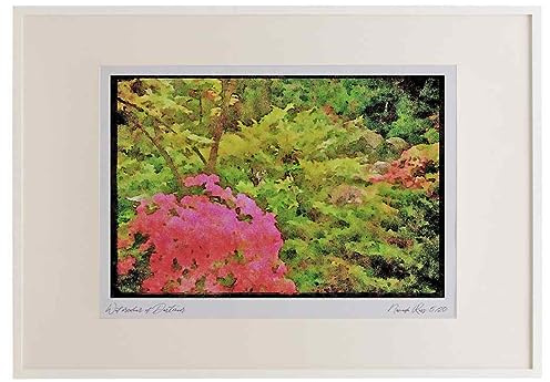 Wild Flowers Plants 013031 - Pink Azalea Bush Amid Shrubs A2 Picture Frame Limited Edition A3
