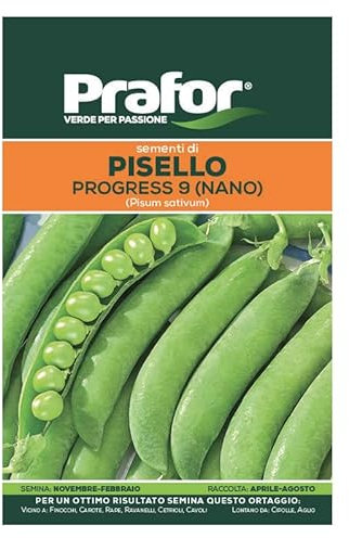 HORTUS Semi prafor di pisello Nano Progress (Grano rugoso)