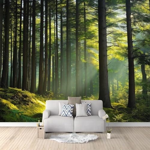 Fotomurales 3D Sol Bosque 350x256 cm Papel Pintado Fotográfico, Decoración De la Pared Murales para Salón, Dormitorio, Habitación para Niños, Pared de TV