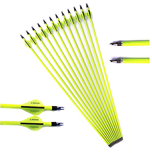 ACCMOS 6/12/24/48pièces Diamètre Intérieur 6.2mm Flèches Pro en Carbone Mixte Personnalisé 22.5-30pouces Spine 500 Flèche avec Pointe en Acier Amovible pour 20-65livres Arc Recurve Arc à Poulies