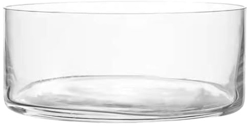 Homoyoyo Grand Vase Cylindrique en Verre pour Succulentes et Poisson Rouge Décoration Intérieure Maison Bureau 20X20X8 CM