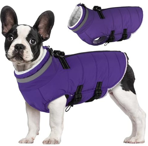 Mklhgty Dog Coat with Harness Built-in, Waterproof Reflective Fleece Lined - Warm Windproof Winter Jacket with Back Zipper, Cold Weather Snow Dog Coats - Purple - L