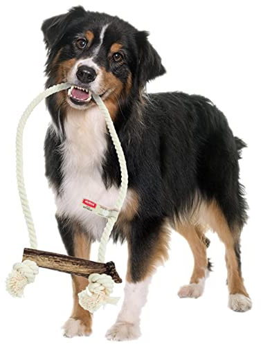 4DOGS Indestructible Dog Rope Toy for Dog Teeth Cleaning Combined with Natural Dog Chew Antler, This is 100% Natural Gluten Free, GMO Free Dog Toys - 1 Piece Hook Easily Chewable- XL