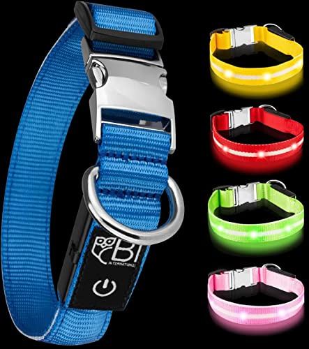 Leuchthalsband für Hunde [Das Original] Leuchtendes LED Hundehalsband zum spazieren gehen auch im Dunkeln- sehr Lange Akkulaufzeit – Sicher Dank hochwertigem Metallverschluss (XS (24-35 cm), Blau)
